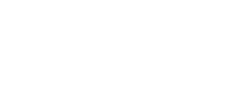 Salbini Logo